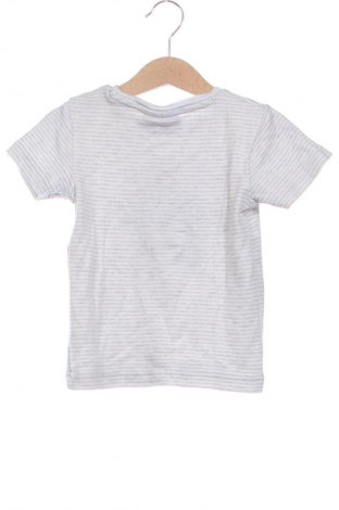 Kinder T-Shirt Next, Größe 18-24m/ 86-98 cm, Farbe Mehrfarbig, Preis € 7,62