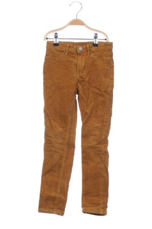 Kinder Cordhose H&M, Größe 4-5y/ 110-116 cm, Farbe Gelb, Preis € 14,99