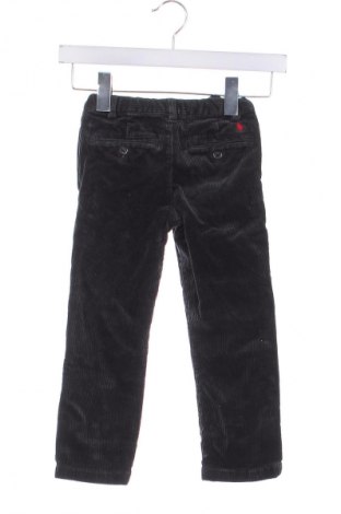 Pantaloni de catifea reiată, pentru copii Polo By Ralph Lauren, Mărime 18-24m/ 86-98 cm, Culoare Gri, Preț 77,99 Lei