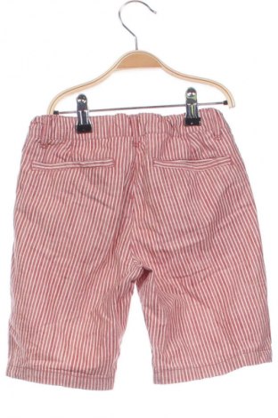 Kinder Shorts The Children's Place, Größe 6-7y/ 122-128 cm, Farbe Mehrfarbig, Preis 5,49 €