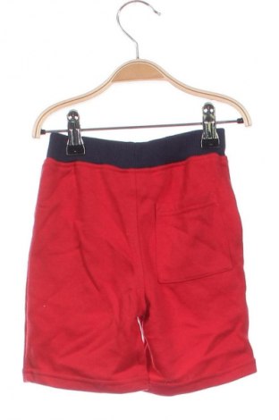 Kinder Shorts Tommy Hilfiger, Größe 18-24m/ 86-98 cm, Farbe Rot, Preis € 16,99