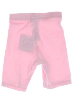 Dziecięce legginsy F&F, Rozmiar 9-12m/ 74-80 cm, Kolor Różowy, Cena 25,99 zł