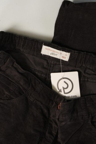 Pantaloni pentru copii Alive, Mărime 12-13y/ 158-164 cm, Culoare Gri, Preț 28,99 Lei