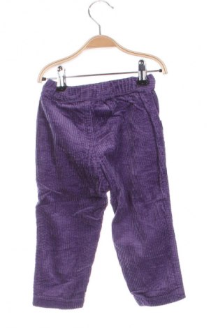 Kinderhose H&M, Größe 9-12m/ 74-80 cm, Farbe Lila, Preis 10,99 €