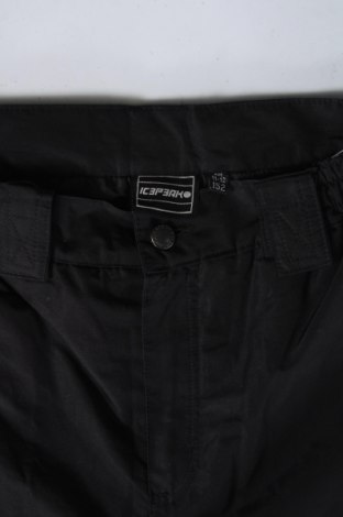 Pantaloni pentru copii pentru sporturi de iarnă Icepeak, Mărime 11-12y/ 152-158 cm, Culoare Negru, Preț 244,99 Lei