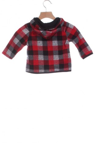 Dziecięca bluza polarowa Garanimals, Rozmiar 9-12m/ 74-80 cm, Kolor Kolorowy, Cena 28,99 zł