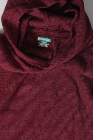 Kinder Sweatshirts Garanimals, Größe 5-6y/ 116-122 cm, Farbe Rot, Preis € 7,49