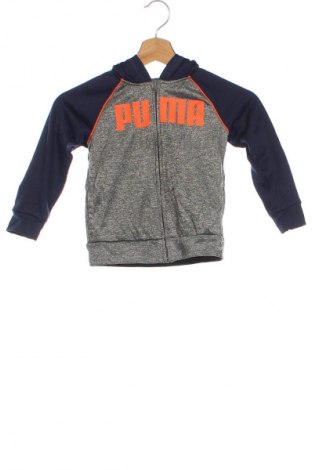 Kinder Sweatshirts PUMA, Größe 3-4y/ 104-110 cm, Farbe Mehrfarbig, Preis € 28,99