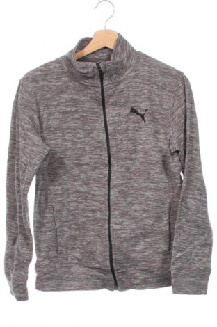 Kinder Fleece PUMA, Größe 14-15y/ 168-170 cm, Farbe Grau, Preis € 22,99