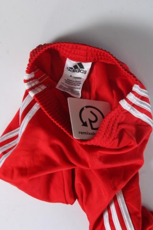 Dziecięce spodnie sportowe Adidas, Rozmiar 3-6m/ 62-68 cm, Kolor Czerwony, Cena 40,99 zł