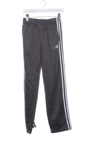 Kinder Sporthose Adidas, Größe 14-15y/ 168-170 cm, Farbe Grau, Preis € 26,49