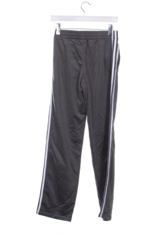 Pantaloni de trening, pentru copii Adidas, Mărime 14-15y/ 168-170 cm, Culoare Gri, Preț 94,99 Lei