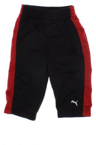 Gyerek sport nadrág PUMA, Méret 3-6m / 62-68 cm, Szín Fekete, Ár 4 999 Ft