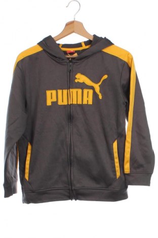 Dziecięca bluza PUMA, Rozmiar 10-11y/ 146-152 cm, Kolor Kolorowy, Cena 105,99 zł