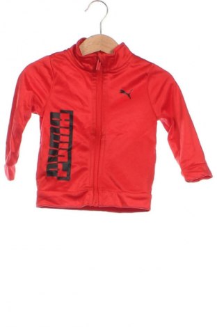 Kinder Sportoberteil PUMA, Größe 9-12m/ 74-80 cm, Farbe Rot, Preis € 24,99