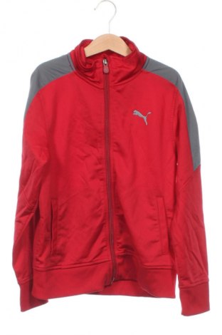 Dziecięca sportowa bluza PUMA, Rozmiar 7-8y/ 128-134 cm, Kolor Czerwony, Cena 56,99 zł