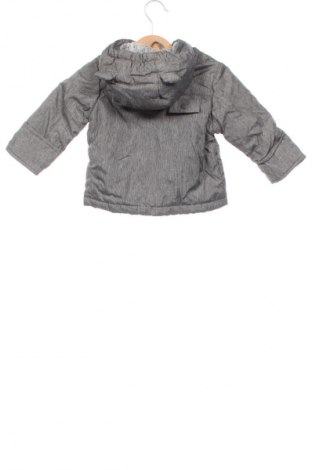 Kinderjacke Staccato, Größe 3-6m/ 62-68 cm, Farbe Grau, Preis 29,49 €