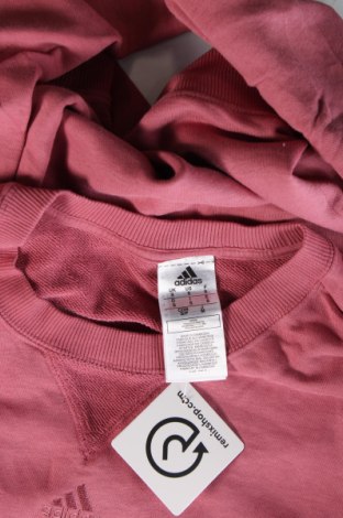 Herren Shirt Adidas, Größe S, Farbe Rosa, Preis 24,99 €