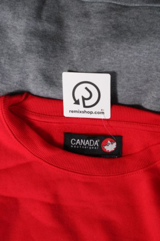 Ανδρική μπλούζα Canada Weather Gear, Μέγεθος XL, Χρώμα Πολύχρωμο, Τιμή 8,99 €