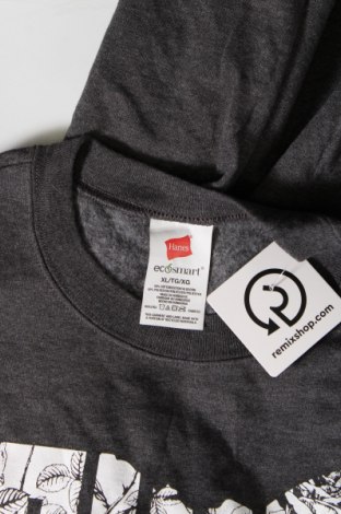 Мъжка блуза Hanes, Размер XL, Цвят Сив, Цена 7,99 лв.