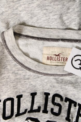 Herren Shirt Hollister, Größe S, Farbe Grau, Preis € 18,99