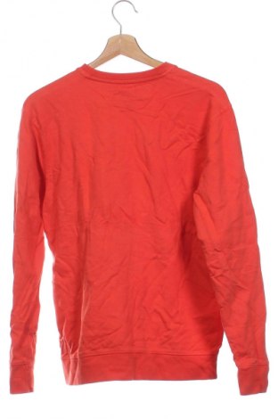 Herren Shirt Ivory Ella, Größe XS, Farbe Rot, Preis 13,49 €