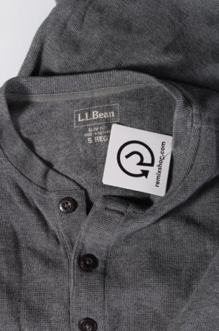 Herren Shirt L.L. Bean, Größe S, Farbe Grau, Preis € 24,99