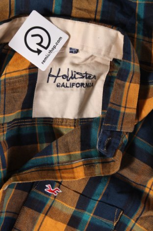 Herrenhemd Hollister, Größe L, Farbe Mehrfarbig, Preis € 23,99