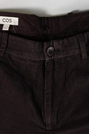 Herren Cordhose COS, Größe XL, Farbe Braun, Preis € 24,99