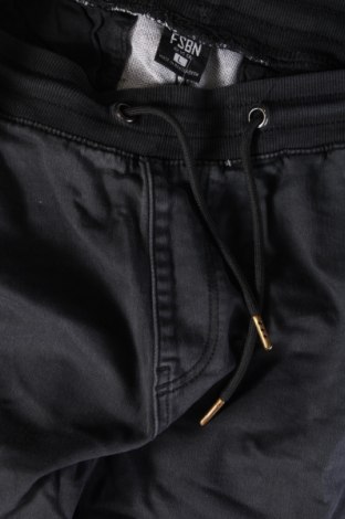 Herren Cordhose FSBN, Größe L, Farbe Grau, Preis € 15,49