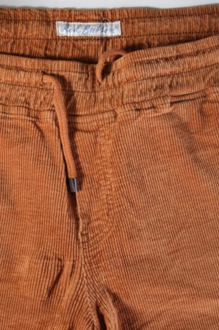 Herren Cordhose Red Button, Größe L, Farbe Braun, Preis 15,99 €