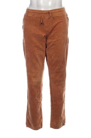 Herren Cordhose Red Button, Größe L, Farbe Braun, Preis € 13,99