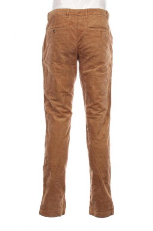 Herren Cordhose Tommy Hilfiger, Größe L, Farbe Braun, Preis 27,99 €