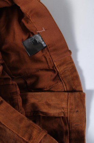 Herren Cordhose Uniqlo, Größe XL, Farbe Braun, Preis € 17,49