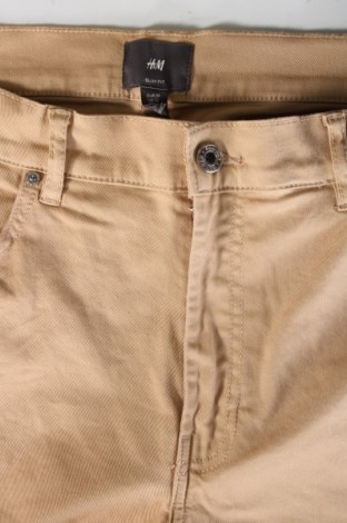 Herren Shorts H&M, Größe L, Farbe Beige, Preis 9,99 €