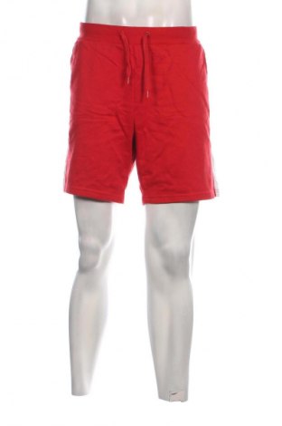 Herren Shorts Primark, Größe XL, Farbe Mehrfarbig, Preis € 7,99