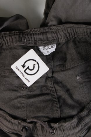 Herrenhose Jean Pascale, Größe XL, Farbe Grau, Preis € 11,49