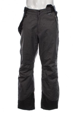 Herrenhose für Wintersport Crane, Größe L, Farbe Grau, Preis 35,99 €