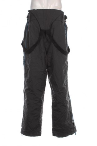 Herrenhose für Wintersport Crane, Größe XL, Farbe Grau, Preis 44,99 €