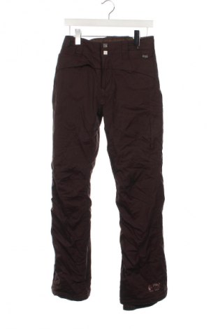 Herrenhose für Wintersport Protest, Größe S, Farbe Braun, Preis € 33,99