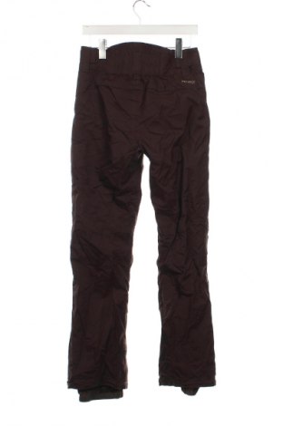 Herrenhose für Wintersport Protest, Größe S, Farbe Braun, Preis € 36,99