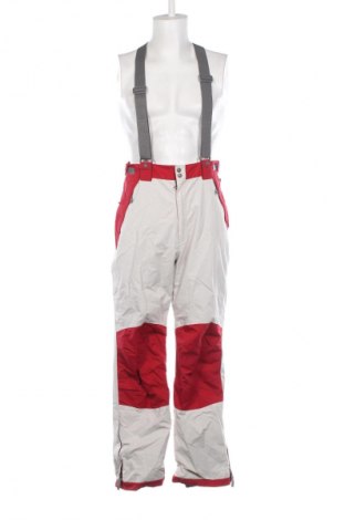 Pantaloni bărbătești pentru sporturi de iarnă Stromberg, Mărime L, Culoare Multicolor, Preț 142,99 Lei