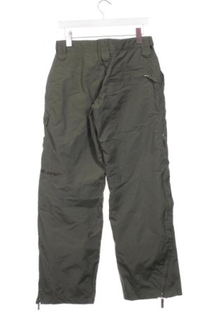 Herrenhose für Wintersport Ziener, Größe S, Farbe Grün, Preis € 51,99