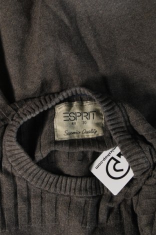 Herrenpullover Esprit, Größe S, Farbe Grün, Preis € 13,99