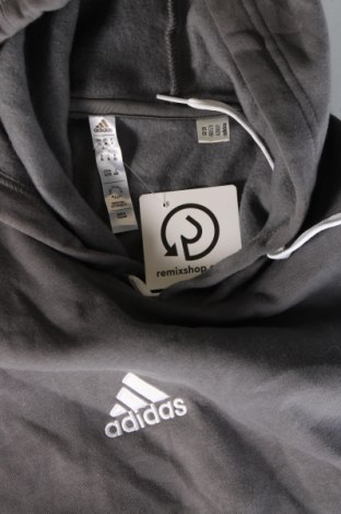 Ανδρικό φούτερ Adidas, Μέγεθος XL, Χρώμα Γκρί, Τιμή 32,99 €