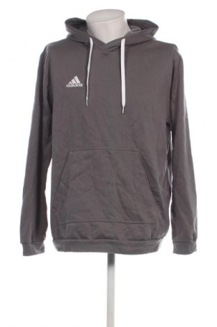 Ανδρικό φούτερ Adidas, Μέγεθος XL, Χρώμα Γκρί, Τιμή 32,99 €