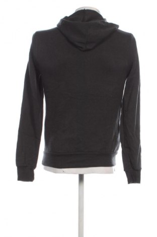 Herren Sweatshirt Alternative Earth, Größe S, Farbe Grau, Preis € 13,49