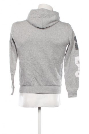 Herren Sweatshirt Calvin Klein, Größe XS, Farbe Grau, Preis 27,99 €