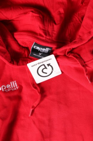 Herren Sweatshirt Capelli, Größe XL, Farbe Rot, Preis 15,49 €