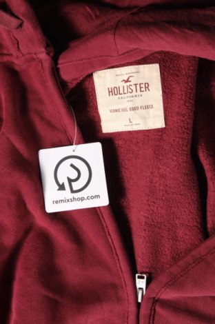 Ανδρικό φούτερ Hollister, Μέγεθος L, Χρώμα Κόκκινο, Τιμή 25,99 €